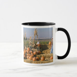 Pumpkin display with hay bales and scarecrows mug