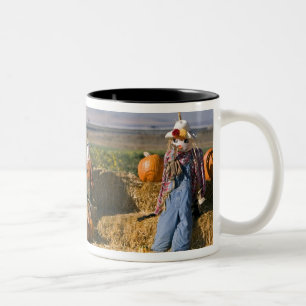 Pumpkin display with hay bales and scarecrows Two-Tone coffee mug
