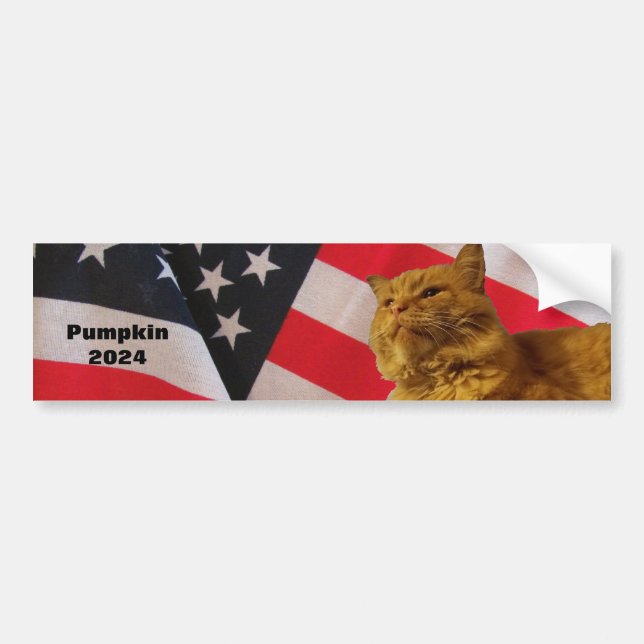 Pumpkin For President Flag Background Bumper Stick Bumper Sticker (Front)