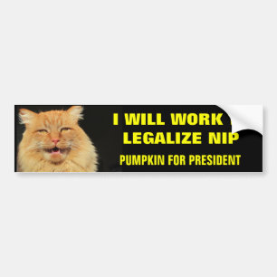 Pumpkin for President Legalize Nip- Bold Bumper Sticker