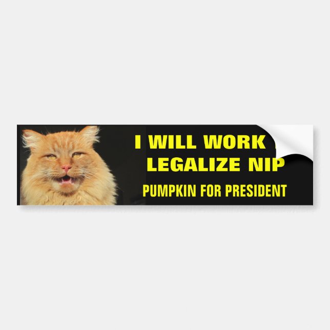 Pumpkin for President Legalize Nip- Bold Bumper Sticker (Front)