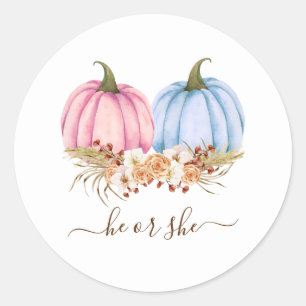 Pumpkin Gender Reveal Invitation, Fall Gender Classic Round Sticker