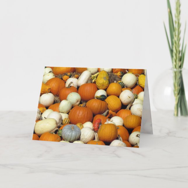 Pumpkin Greeting Card (Front)