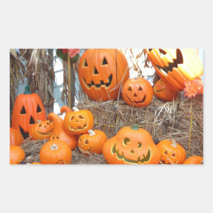 Pumpkin halloween jack o lantern orange pumpkins sticker