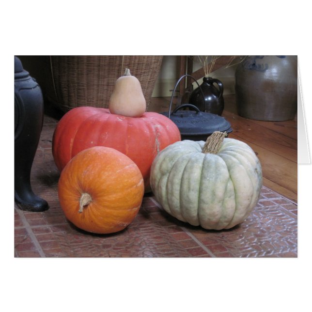 Pumpkin Harvest (Front Horizontal)
