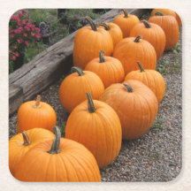 Pumpkin Harvest Seasonal