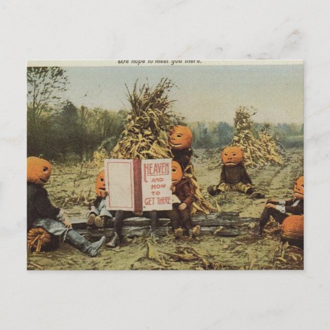 Pumpkin Heaven Postcard (Front)