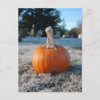 Pumpkin in a Cemetery Halloween Holiday Postcard