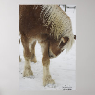 Pumpkin in Snow Poster