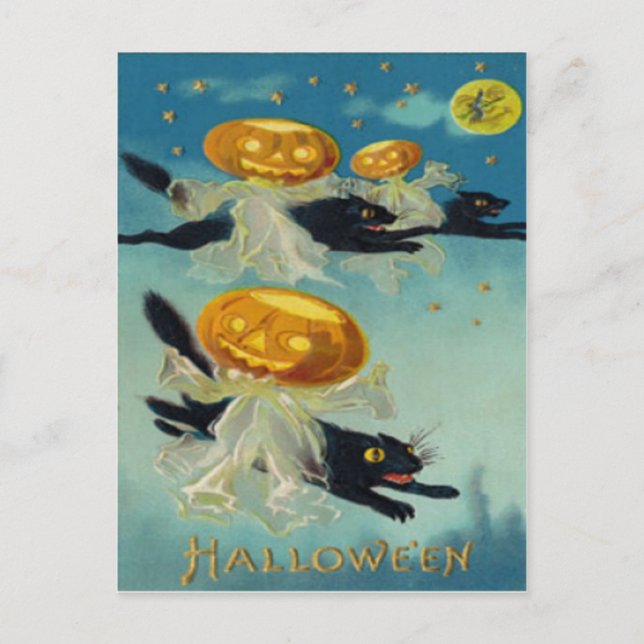 Pumpkin Jack O Lantern Black Cat Witch Postcard (Front)