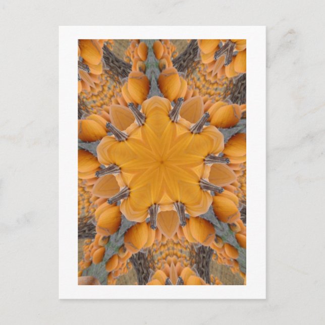 Pumpkin Kaleidoscope Postcard (Front)