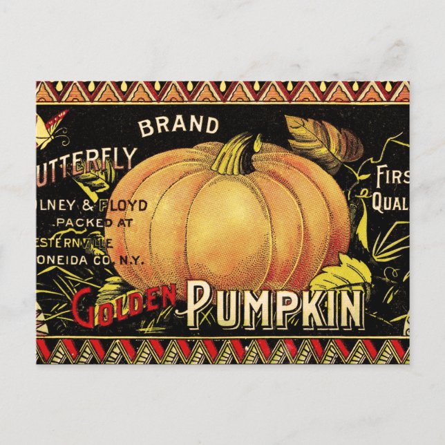 Pumpkin Label Antique Butterfly Brand Postcard (Front)