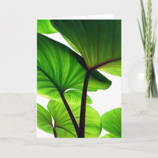 Pumpkin Leaves Floral Photo Holiday Card