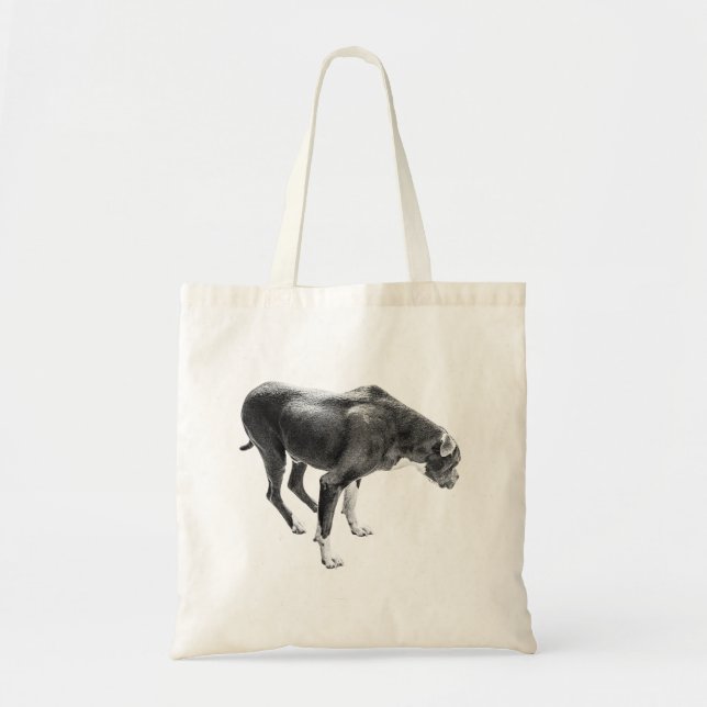 Pumpkin Market Sentinel Tote Bag (Front)