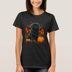 Pumpkin Newfie Dog Costume On Newfoundland Dog T-Shirt