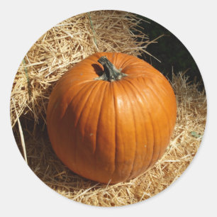 Pumpkin on Hay Bales Classic Round Sticker