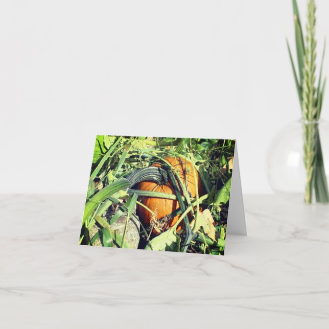 Pumpkin On Vine Nature Customizable Note Thank You Card (Front)