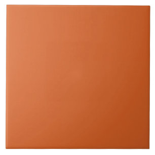 Pumpkin Orange Ceramic Tile. Tile