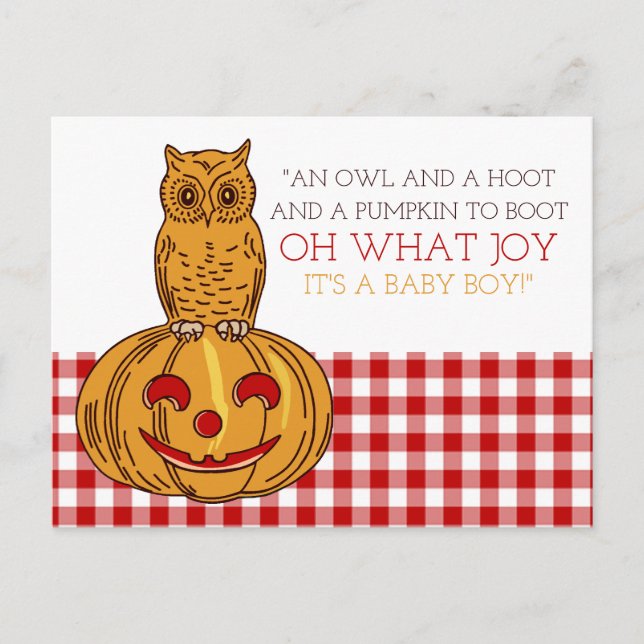 Pumpkin Owl & Gingham It's a Baby Boy Announcement (Front)