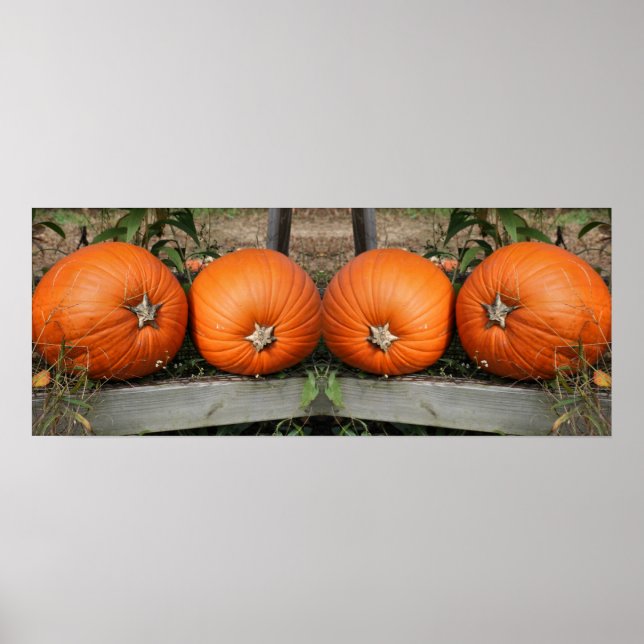 Pumpkin Pair Fall Mirror Abstract Poster (Front)