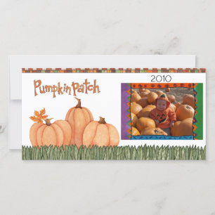 pumpkin patch