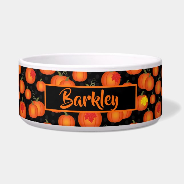 Pumpkin Patch  (Front)