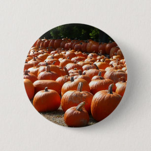 Pumpkin Patch Autumn Harvest Photography 2 Inch Round Button