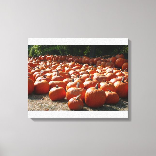Pumpkin Patch Autumn Harvest Photography Canvas Print (Front)