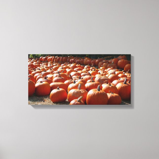 Pumpkin Patch Autumn Harvest Photography Canvas Print (Front)