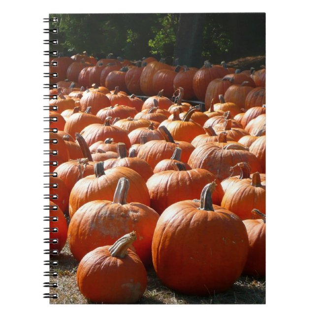 Pumpkin Patch Autumn Harvest Photography Notebook (Front)