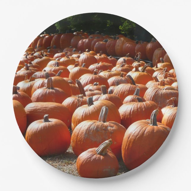 Pumpkin Patch Autumn Harvest Photography Paper Plate (Front)