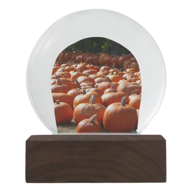 Pumpkin Patch Autumn Harvest Photography Snow Globe (Front)