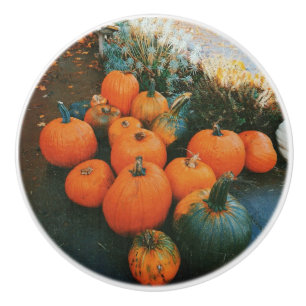 Pumpkin Patch  Ceramic Knob