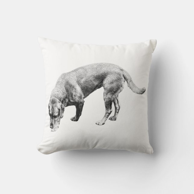 Pumpkin Patch Guardian Throw Pillow (Front)