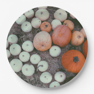 Pumpkin Patch  Paper Plate
