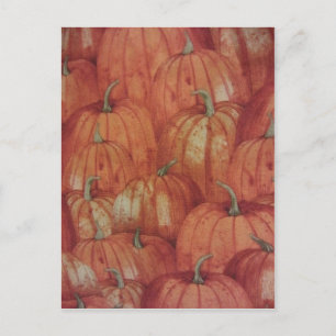 Pumpkin Patch Postcard