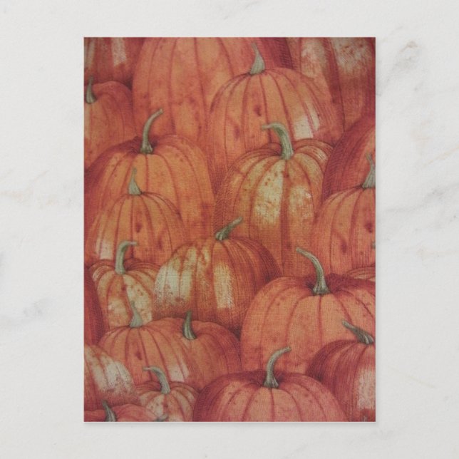 Pumpkin Patch Postcard (Front)