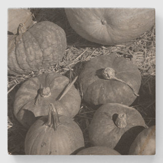 Pumpkin Patch Stone Coaster