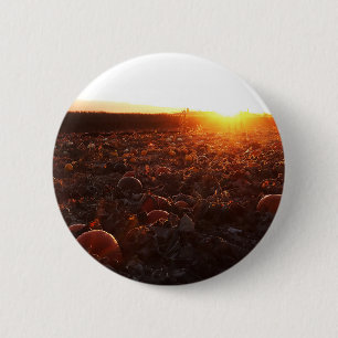 Pumpkin Patch Sunset B 2 Inch Round Button