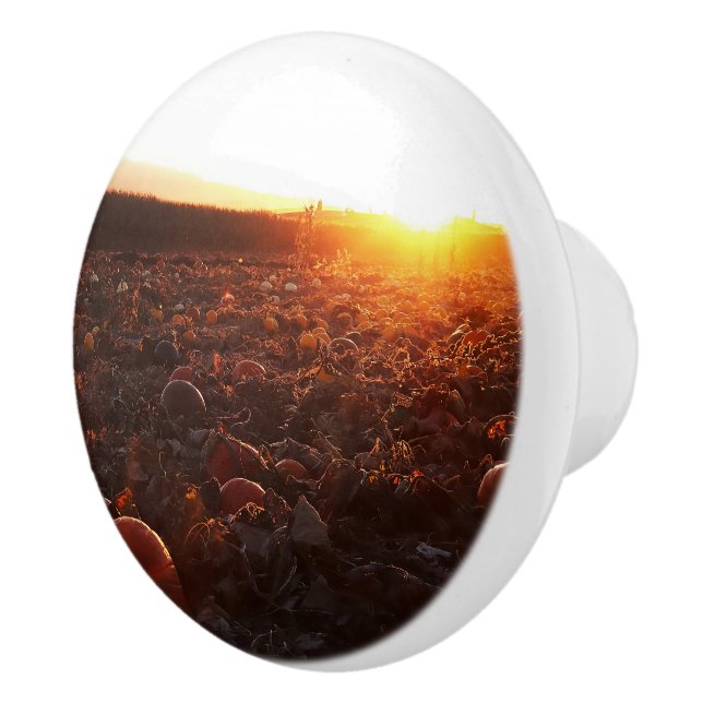 Pumpkin Patch Sunset B Ceramic Knob (Right)
