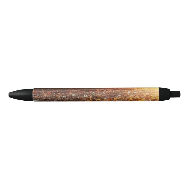 Pumpkin Patch Sunset C Black Ink Pen (Front)