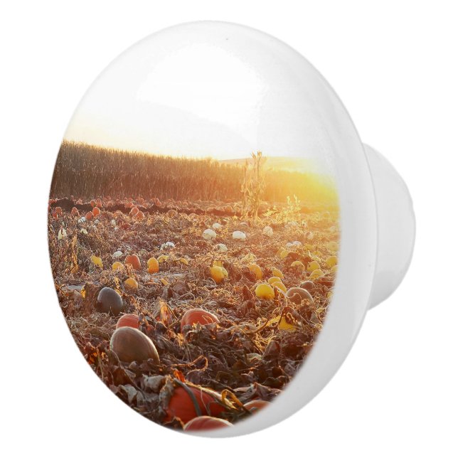 Pumpkin Patch Sunset C Ceramic Knob (Right)