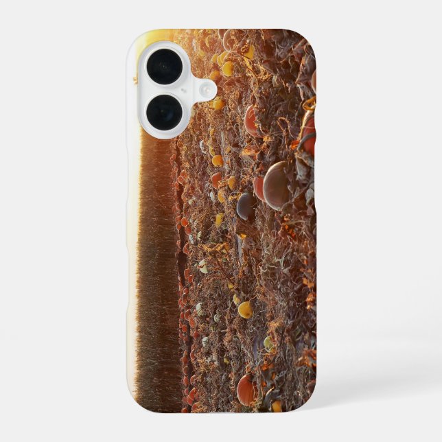 Pumpkin Patch Sunset C iPhone 16 Case (Back)