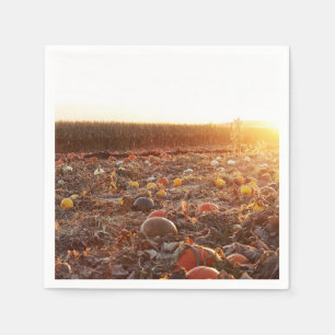Pumpkin Patch Sunset C Napkin