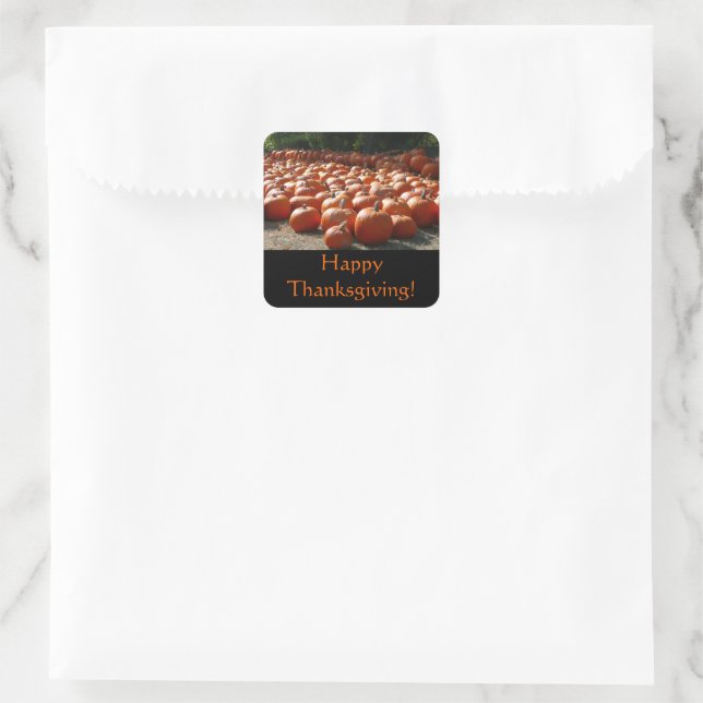 Pumpkin Patch Thanksgiving Sticker (Bag)