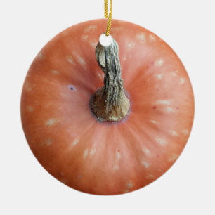 Pumpkin Photo Ceramic Ornament