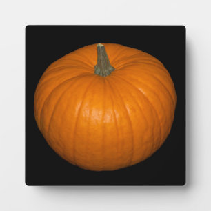 Pumpkin Photo on Black Background Plaque