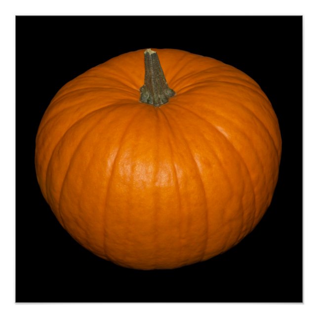 Pumpkin Photo on Black Background Poster (Front)