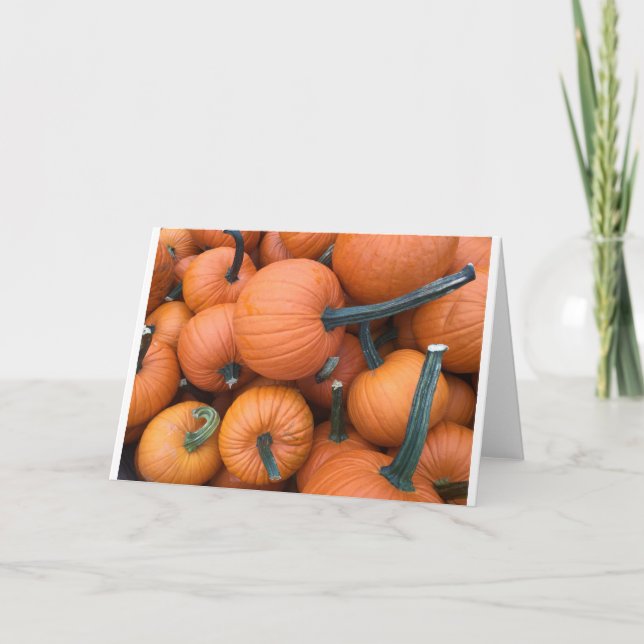 Pumpkin Pile! Holiday Card (Front)