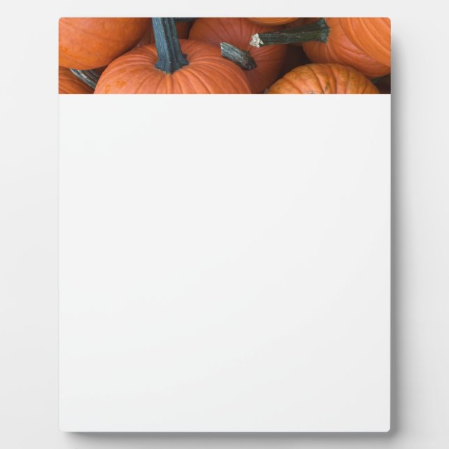Pumpkin Pile! Plaque (Front)